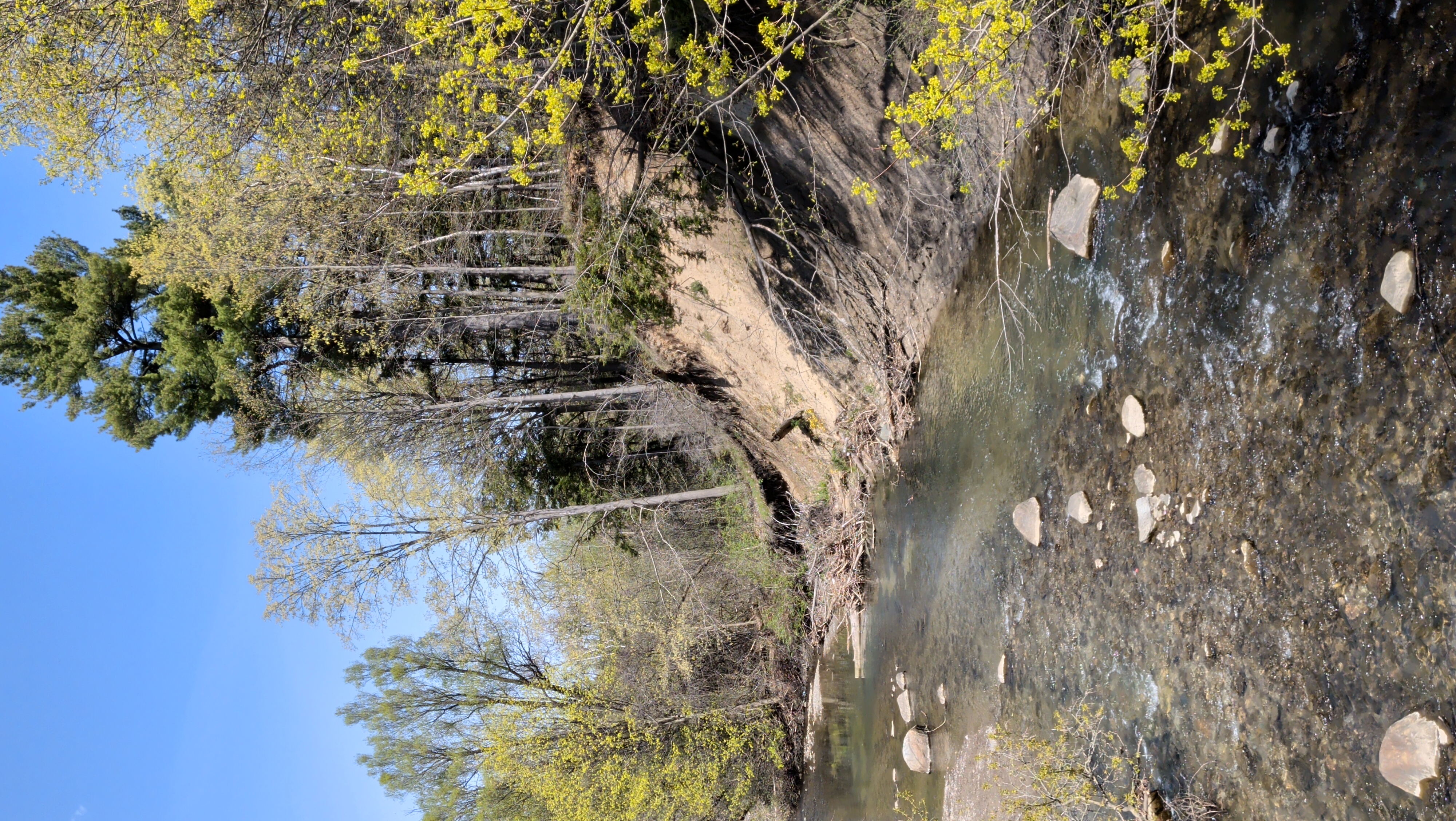 Eglinton North urban nature tour